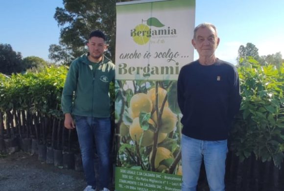 Consegnati circa 3mila alberi di bergamotto ai soci di “Bergamia”